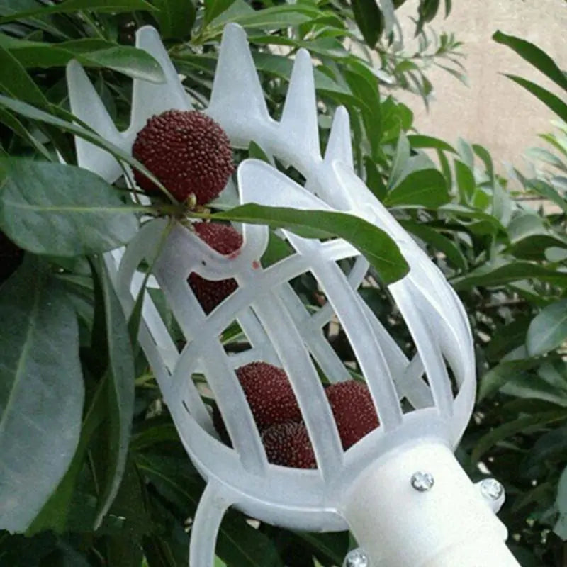 Garden Fruit Picker