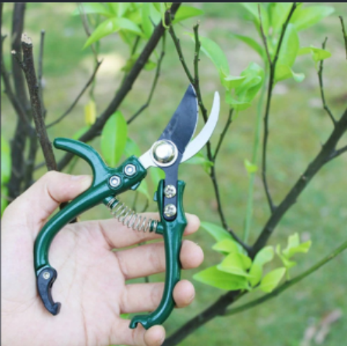 Multifunctional Garden Scissors