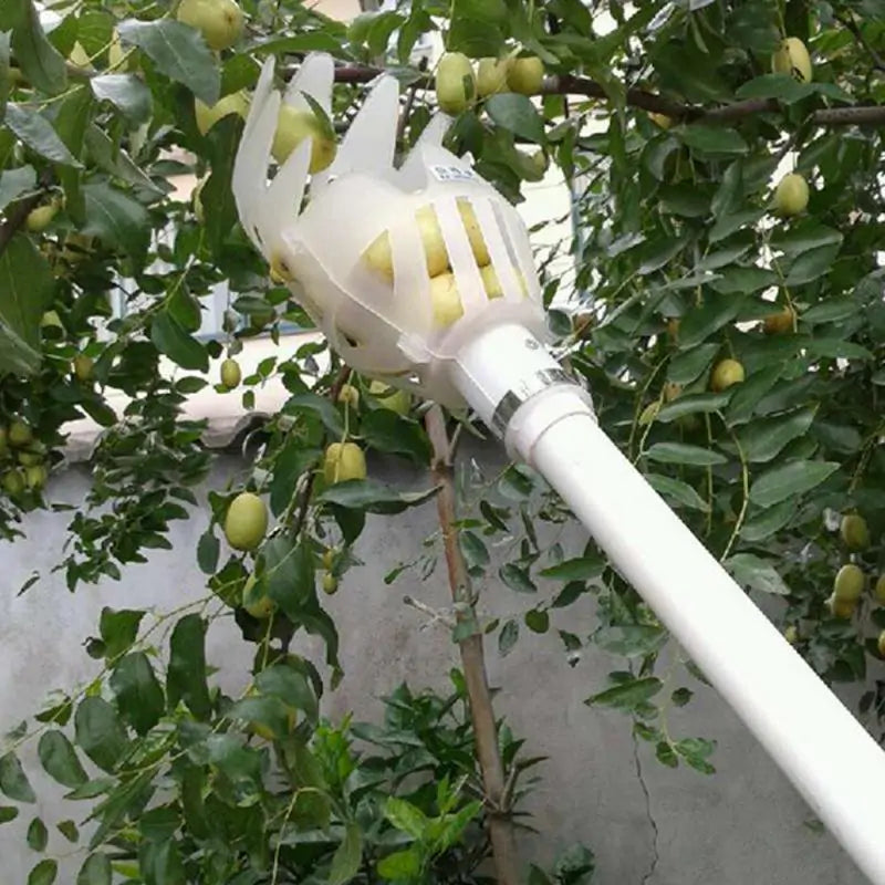 Garden Fruit Picker