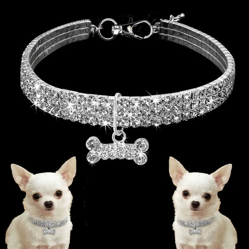 Pet Collar